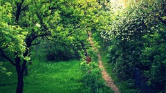 Summer spring Warsaw Parks Warszawa