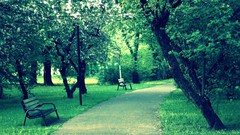 Summer spring Warsaw Warszawa