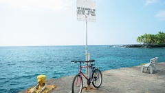 Summer time dock walls some post