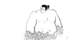 Sumo