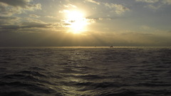 Sun Boats vehicles ocean