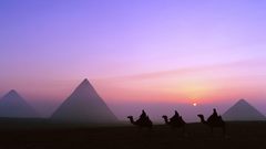 Sun Egypt Camels pyramids