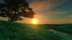 Sun here You The Tuscan under org skinbase