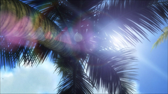 Sun lens flare tropical