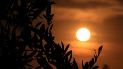 Sun silhouettes sunset sunrise