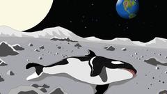 Sun Stars moon Earth