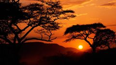 Sun Trees silhouettes Tanzania