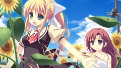 Sunflowers kamio misuzu kamio haruko Air (anime)