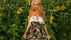 Sunflowers woman dress blondes models Alex boobs amanda fake 
