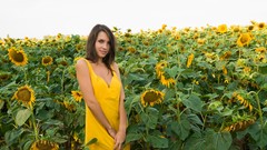 Sunflowers woman fields outdoors brunettes yellow dress Met-Art 