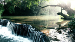 Sunlight waterfalls rivers branches