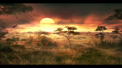 Sunrise clouds Landscapes Trees