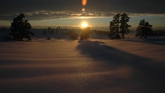 Sunrise clouds winter Trees