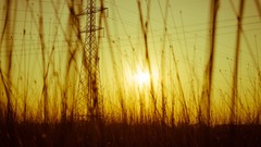 Sunrise fields power grid