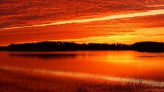 Sunrise Landscapes nature ponds