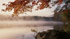 Sunrise light Cranes Parks ponds