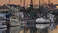 Sunrise nature fishing Boats South Carolina harbours