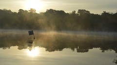 Sunrise Sea nature water sun dawn germany skies forests natur
