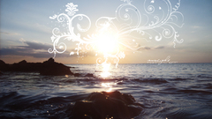 Sunrise shore sunlight floral