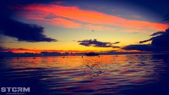 Sunrise sunset Sea Trees yellow water sun blue ocean red pink 