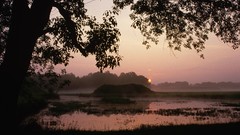 Sunrise Trees Parks alabama