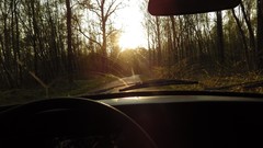 Sunrise winter sun cold cars mini French Austin vintage Cooper 