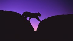 Sunset Africa Leopards silhouettes rocks crossing african