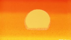 Sunset Andy Warhol Incase