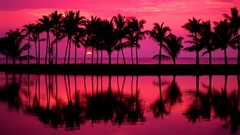 Sunset bay Hawaii palm trees reflections pink skies
