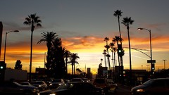 Sunset California Los Angeles boulevard Grimm