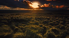 Sunset clouds northumberland Grassland Northumbria