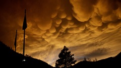 Sunset clouds Trees mammatus