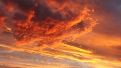 Sunset clouds Trees silhouettes