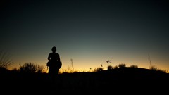 Sunset deserts silhouettes Dune