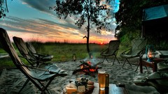 Sunset fire evening bushes campfire firepit