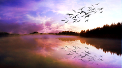 Sunset flight Guess chch