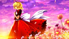 Sunset Flowers clouds wind Profile Ribbons red dress bows 