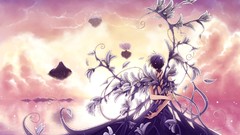 Sunset Flowers Trees water Mountains clouds light lights wings 