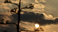 Sunset France promenade des anglais south east