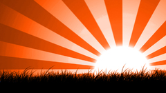 Sunset Japan grass shadows