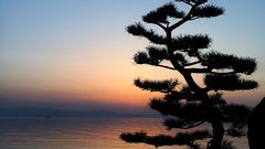 Sunset Japan Landscapes nature