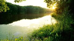 Sunset Landscapes forests lakes