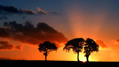 Sunset Landscapes nature