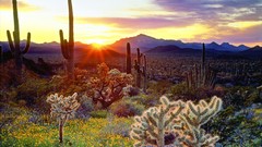 Sunset Landscapes nature USA