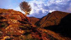Sunset Landscapes Scotland highlands