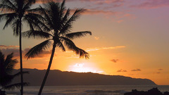 Sunset large card post oahu ing least