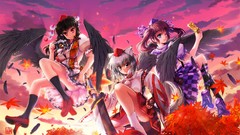 Sunset leaves Trees clouds autumn weapons wings hats socks 