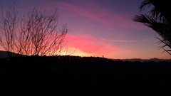 Sunset nature campaign