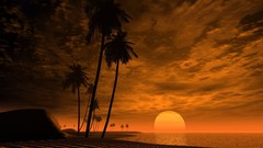 Sunset nature clouds ocean palm trees Beaches Ocean Drive skies 
