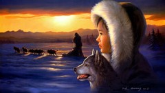 Sunset nature Huskies reality